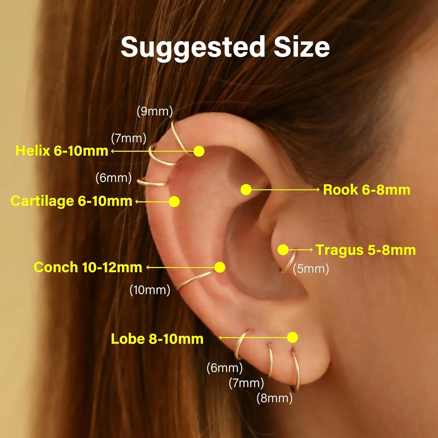 Gold Conch Hoops Earrings for Women, Conch Piercing Jewelry Gold, 14K Gold Filled, 22 Guage, 11mm, 22g